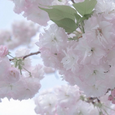 Furry文化趣味解读兽圈社群